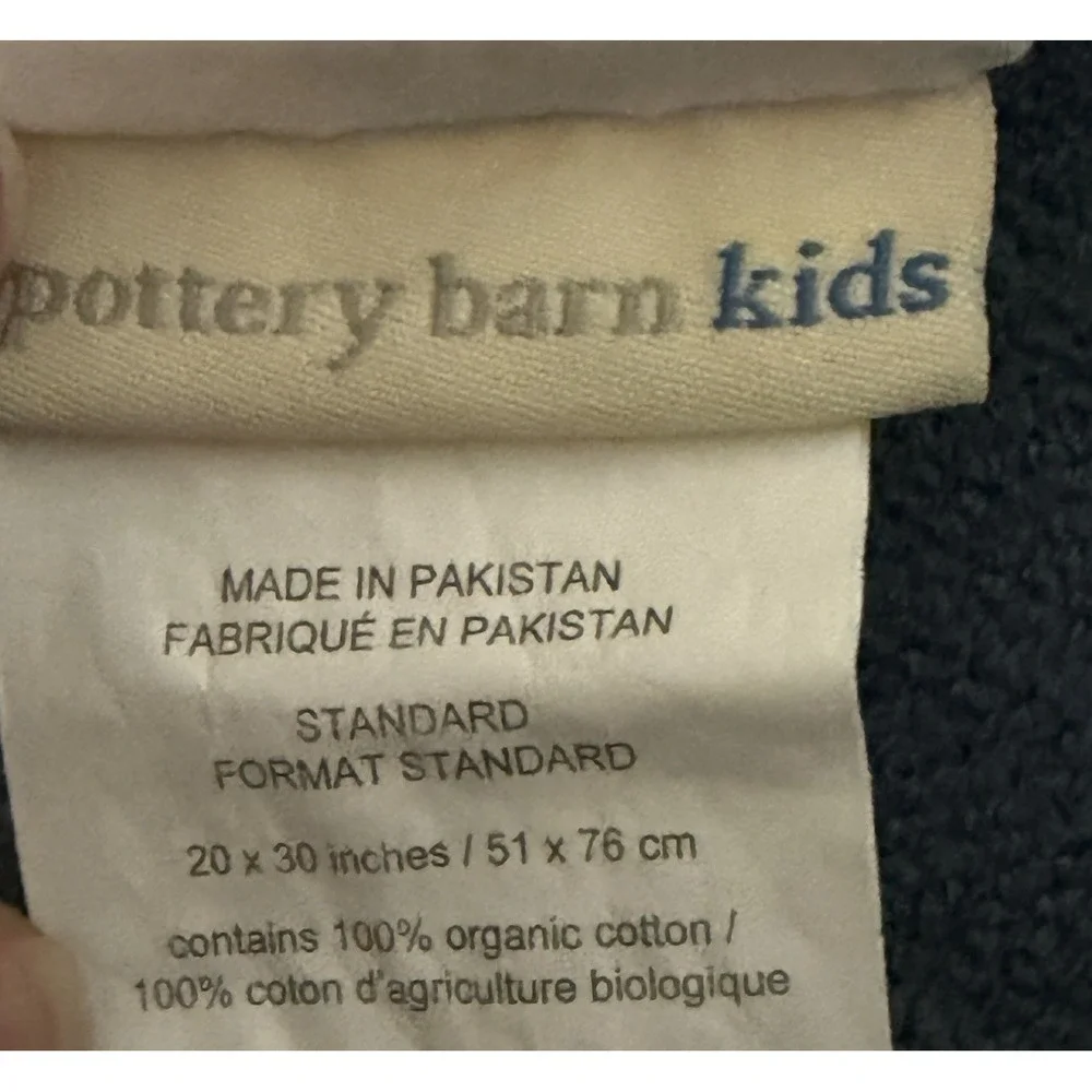 Pottery Barn Kids Dinosaur Twin Sheet Set 3 PCS Green Blue Gray 2015 Dinosaurs